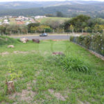 Terreno à venda no condomínio Entreverdes, Campinas - SP
