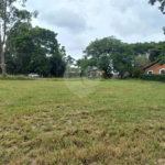 Loteamento Residencial no Condomínio Vila Pinhal do Broa