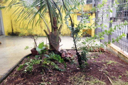 Casa Térrea à venda com 3 quartos, sendo 1 suíte, em Vila Cordeiro, São Paulo, SP