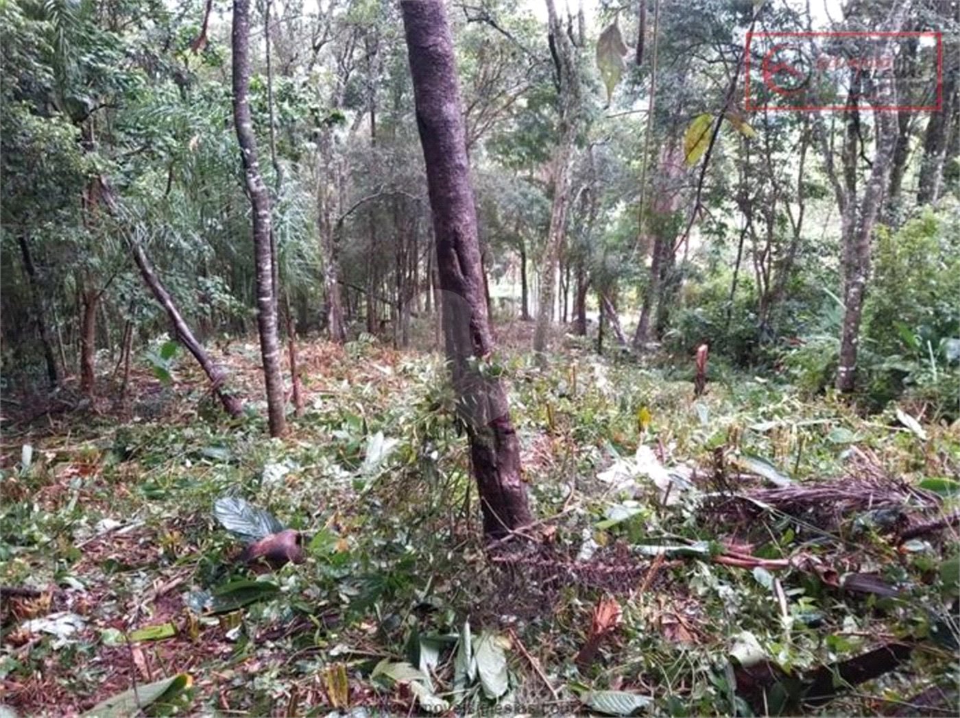 Terreno à venda em Serra da Cantareira, Mairiporã, SP