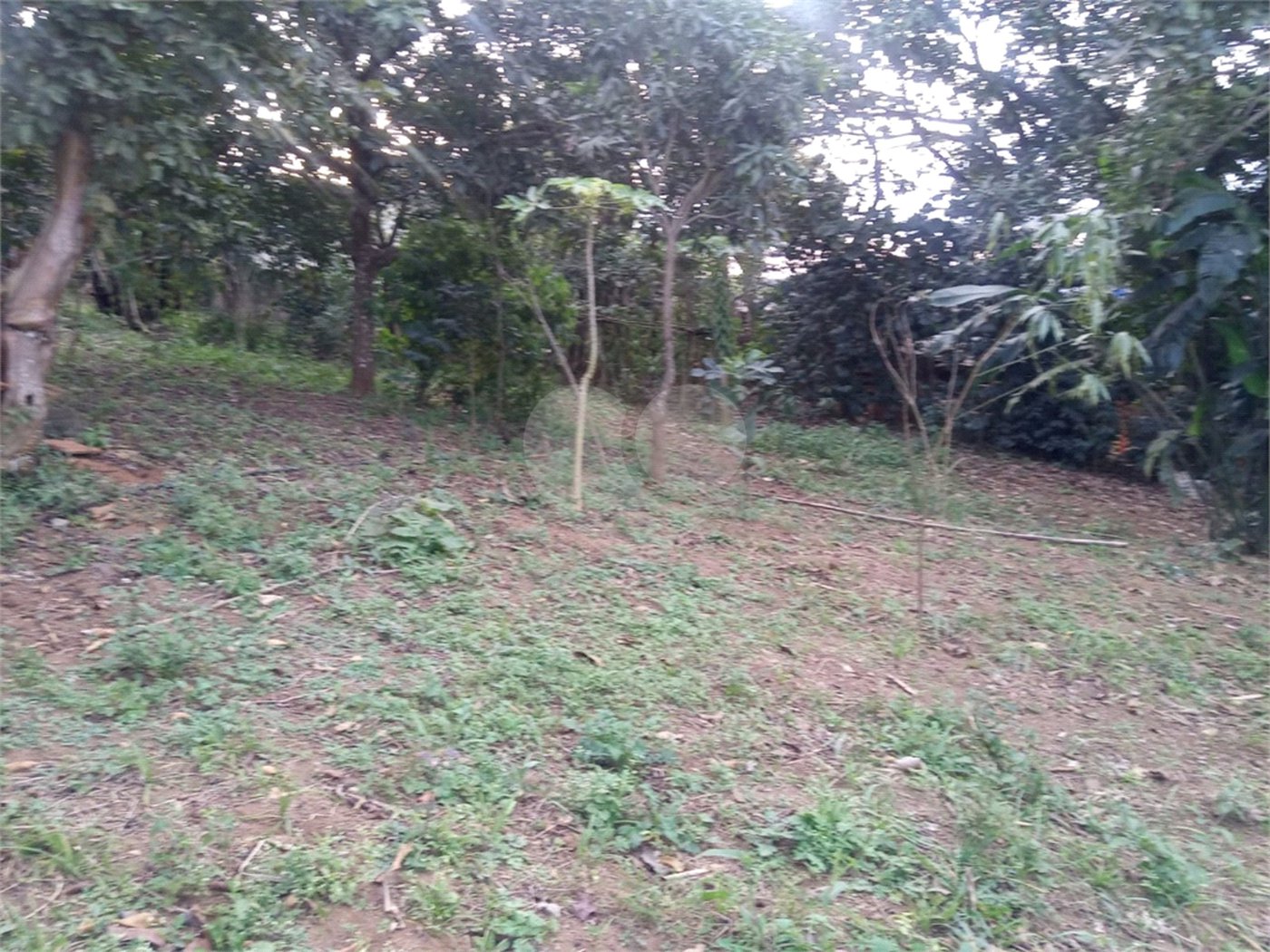 Terreno à venda ou para alugar no condomínio São Marcos, São Paulo - SP