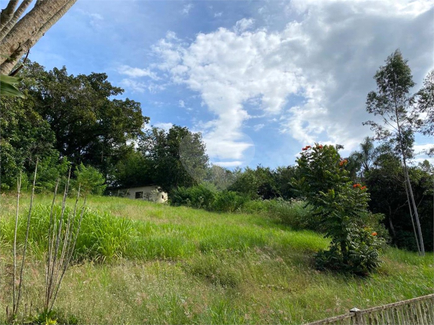 Excelente imóvel rural, situado em Analândia/SP