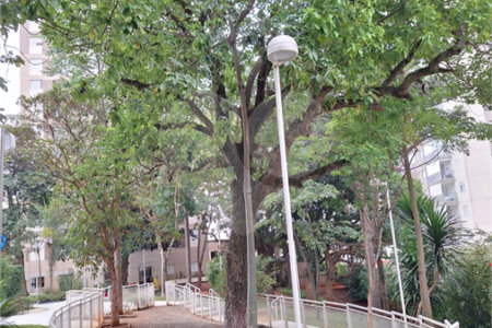 Apartamento à venda com 2 quartos em Jardim Esmeralda, São Paulo, SP