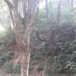 Terreno à venda no condomínio Alpes de Mairiporã, Mairiporã - SP