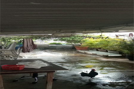 Casa à venda com 3 quartos, sendo 1 suíte,  em Lapa de Baixo, São Paulo, SP