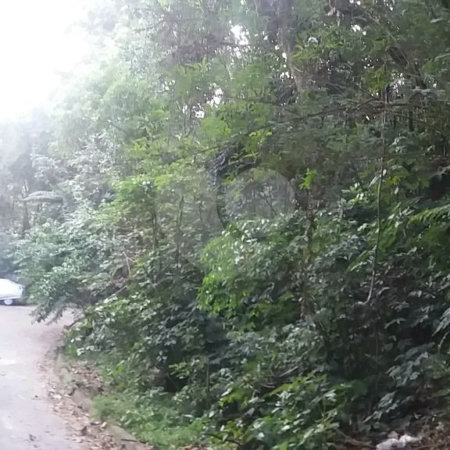 Terreno à venda em Tucuruvi, São Paulo, SP
