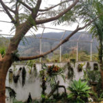 Casa Térrea à venda com 2 quartos em Corumbá (terra Preta), Mairiporã, SP