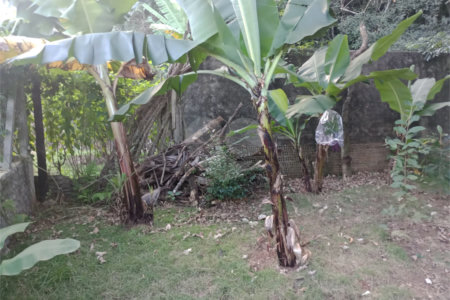 Chácara à venda com 5 quartos, sendo 1 suíte, em Jardim Marabá, Itapetininga, SP