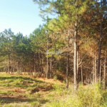 Condomínio de Chácaras Fazenda Elisa – Atibaia
