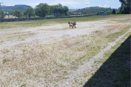 Terreno à venda no Centro, Morungaba, SP