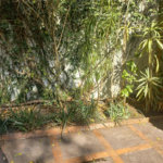 Casa à venda com 3 quartos, sendo 2 suítes,  em Morumbi, São Paulo, SP