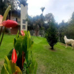 Sobrado à venda com 4 suítes em Serra da Cantareira, Mairiporã, SP