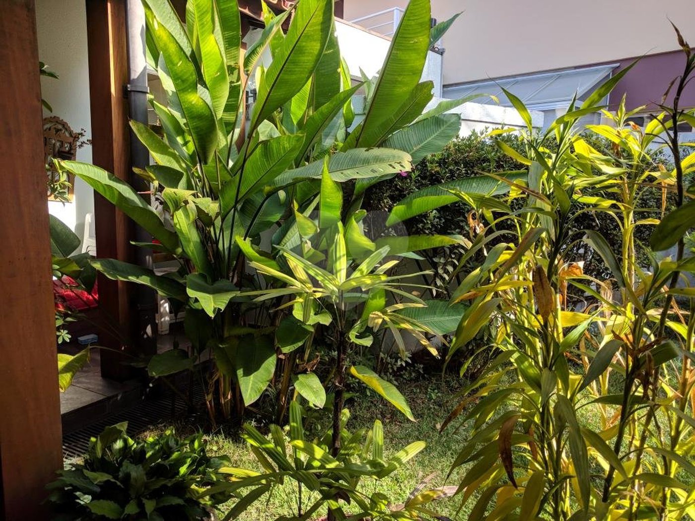 Sobrado à venda ou para alugar com 5 quartos, sendo 3 suítes, em Jardim Marajoara, São Paulo, SP