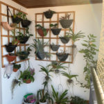 Apartamento à venda com 3 quartos, sendo 2 suítes, em Tucuruvi, São Paulo, SP