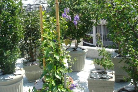 Casa à venda com 3 quartos, sendo 1 suíte, em Conjunto Residencial Butantã, São Paulo, SP
