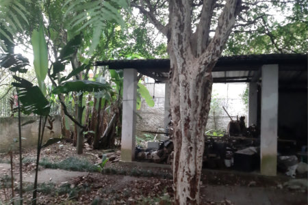Terreno à venda em Vila Gustavo, São Paulo, SP