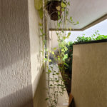 Apartamento à venda com 2 quartos, sendo 1 suíte, em Jardim Botânico, Ribeirão Preto, SP
