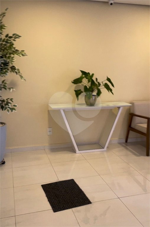 Apartamento à venda ou para alugar com 2 quartos em Vila Mascote, São Paulo, SP