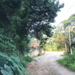 Terreno à venda em Serra da Cantareira, Mairiporã, SP