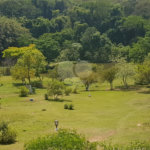 Hotel à venda com 14 quartos, sendo 13 suítes, em Rainha, Louveira, SP