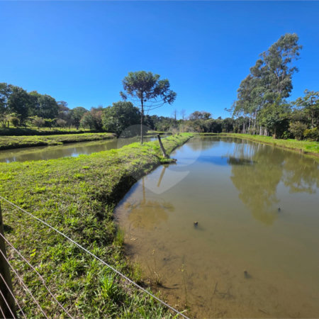 Sitio Granjeiro região de Água Vermelha 6,5 Alqueires (16,5 Hectares)