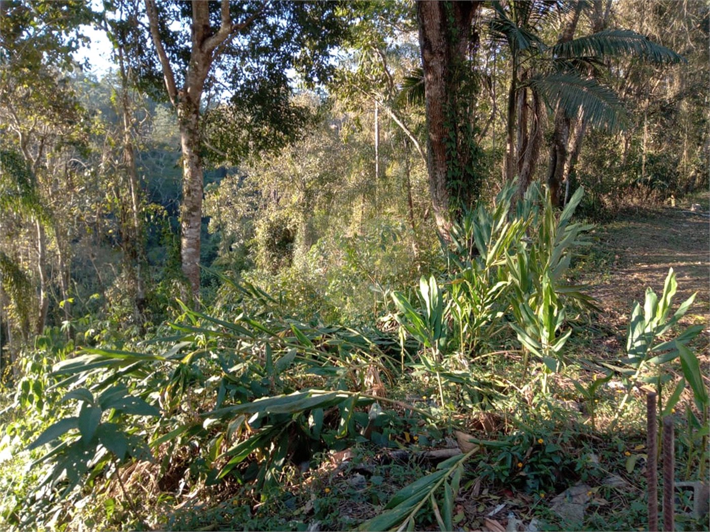 Terreno à venda no condomínio Cinco Lagos, Mairiporã - SP