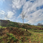 Área de Terra à venda com 1 suíte em Cocais, Itatiba, SP