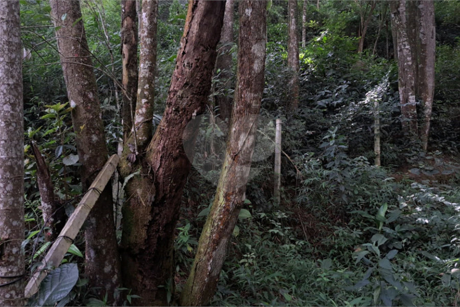 Terreno à venda em Terra Preta (terra Preta), Mairiporã, SP