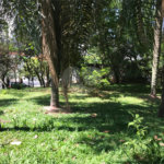 Terreno à venda em Lar São Paulo, São Paulo, SP