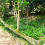 Chácara à venda com 10 quartos, sendo 20 suítes, em Serra da Cantareira, Mairiporã, SP