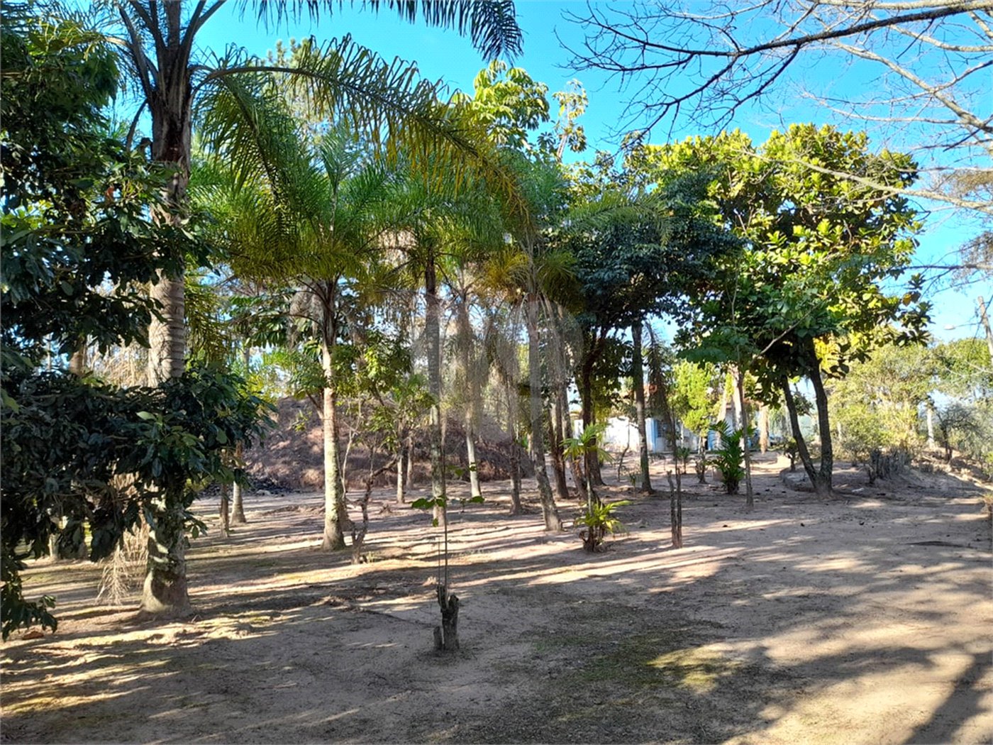Sítio à venda no Centro, Salesópolis, SP