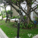 Apartamento à venda com 3 suítes em Conjunto Residencial Morumbi, São Paulo, SP