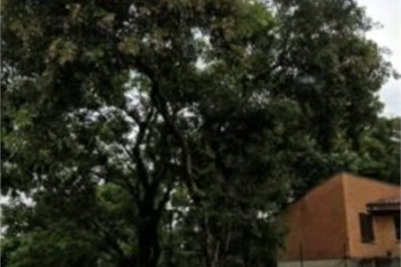 Terreno à venda em Jardim Morumbi, São Paulo, SP