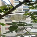 Apartamento à venda com 1 quarto no Centro, São Paulo, SP