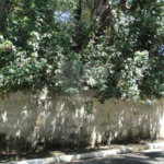 Terreno à venda em Barro Branco (zona Norte), São Paulo, SP