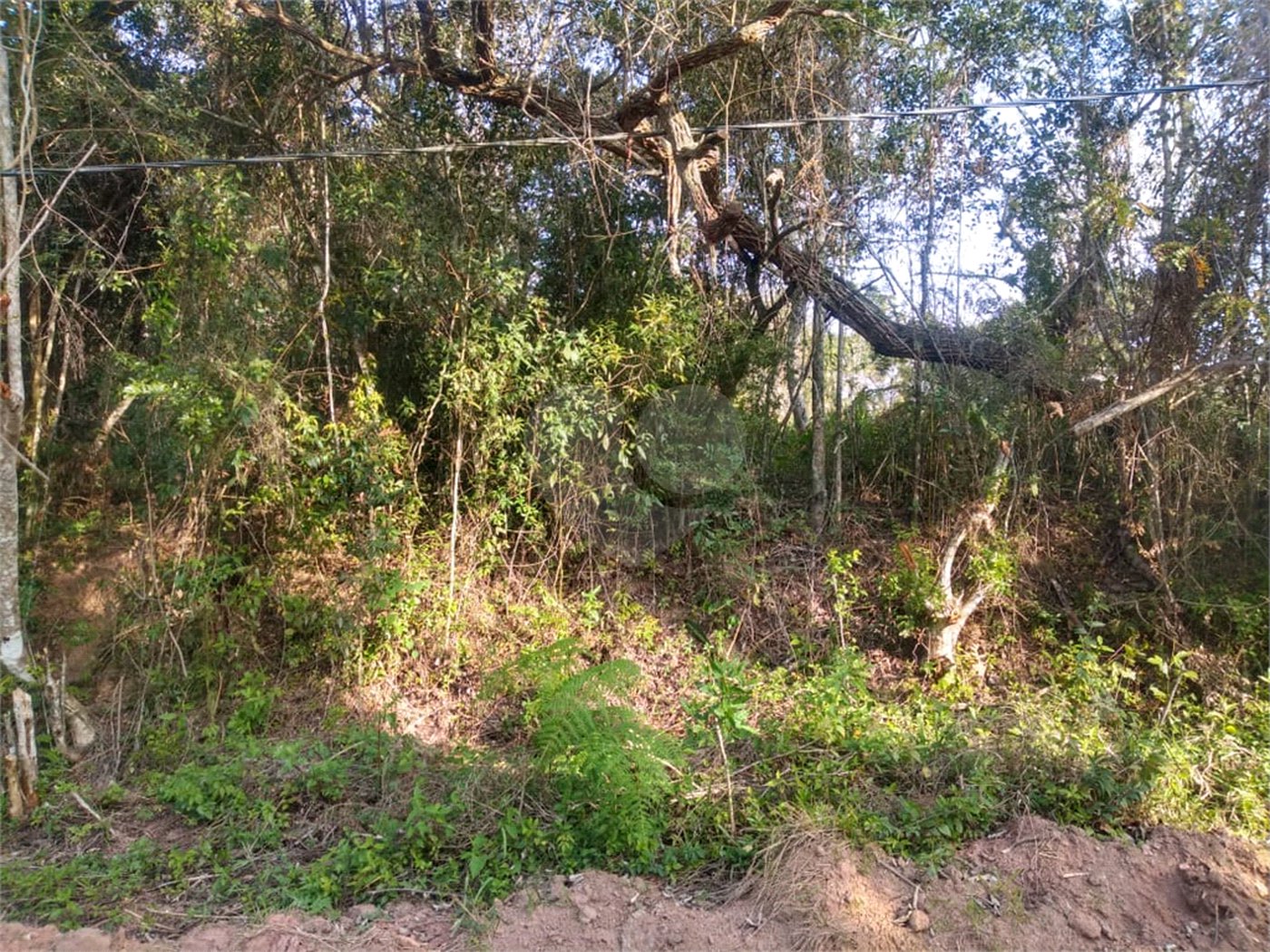 Terreno à venda em Granja Viana, Cotia, SP