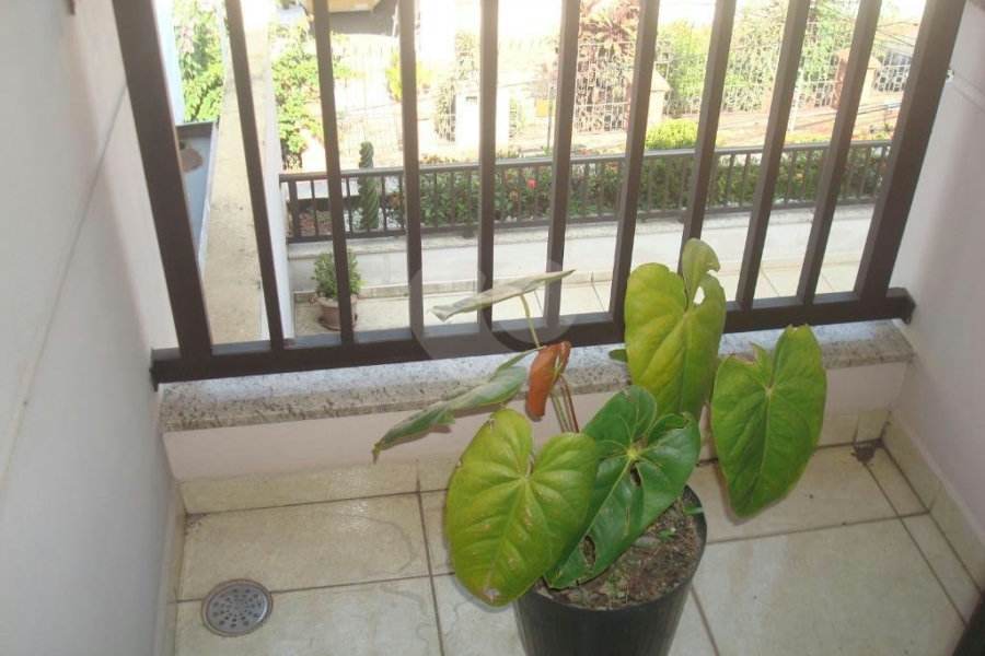 Sobrado à venda com 3 suítes em Vila Isolina Mazzei, São Paulo, SP
