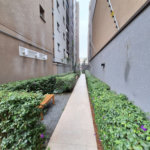 Apartamento à venda com 1 quarto no Centro, São Paulo, SP