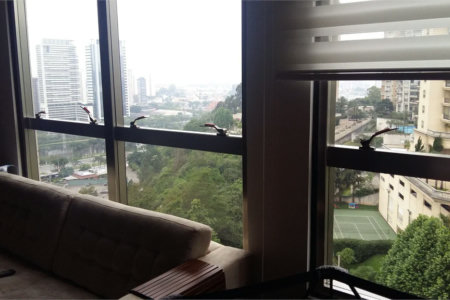 Apartamento à venda com 2 quartos em Jardim Fonte do Morumbi, São Paulo, SP