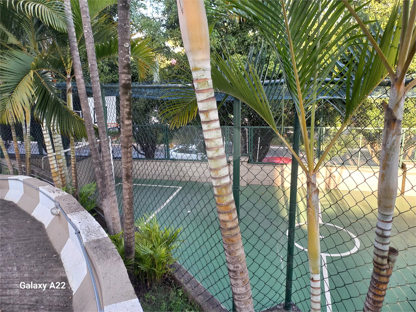 Apartamento à venda ou para alugar com 2 quartos em Rio Pequeno, São Paulo, SP