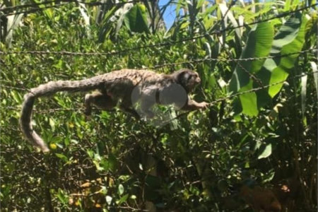Chácara à venda com 3 quartos, sendo 2 suítes,  em Jardim Mirantes de Ipanema, Araçoiaba da Serra, SP