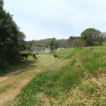 Terreno à venda em Anhanguera, São Paulo, SP