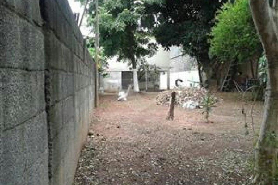 Terreno à venda em Vila Nova Cachoeirinha, São Paulo, SP