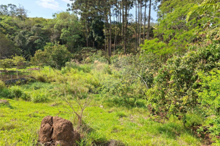 Terreno à venda em Chácara Fernão Dias, Bragança Paulista, SP