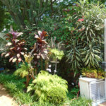 Casa Térrea à venda com 3 quartos em Campo Belo, São Paulo, SP