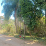 Sítio à venda com 3 quartos, sendo 1 suíte,  em Da Barra, Salto de Pirapora, SP
