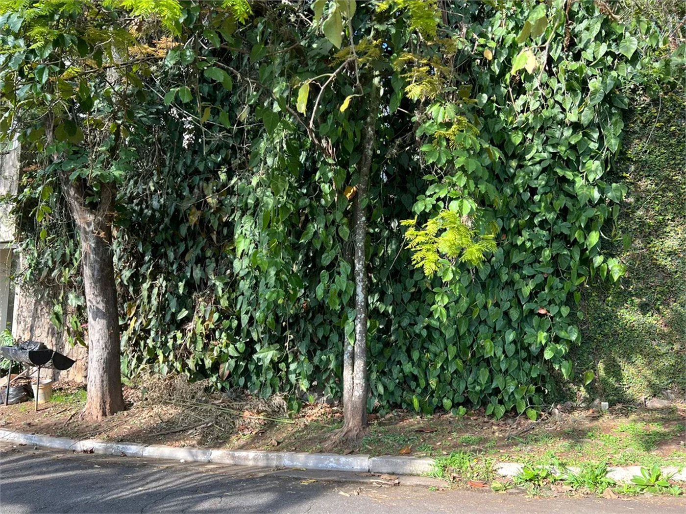 Terreno à venda no condomínio Jardim Vitória Régia, São Paulo - SP