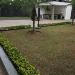 Apartamento à venda com 3 quartos, sendo 1 suíte, em Jardim Ampliação, São Paulo, SP