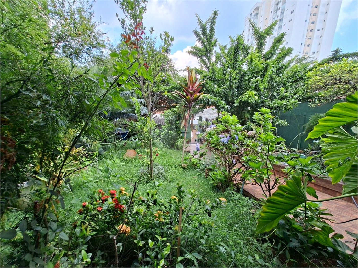 Casa à venda ou para alugar com 4 quartos, sendo 2 suítes, em Vila Mazzei, São Paulo, SP