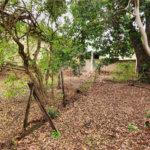 Chácara à venda com 2 quartos em Jardim Califórnia, Araraquara, SP